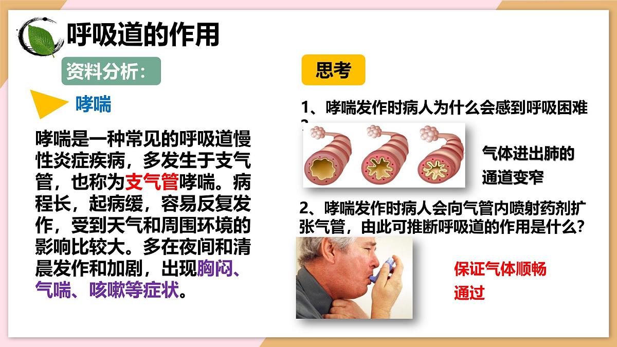 4.3.1 呼吸道对空气的处理 课件-2024--2025学年人教版生物七年级下册第7页