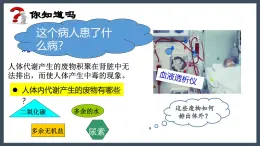 4.5人體內廢物的排出+課件-2024--2025學年人教版七年級生物下冊