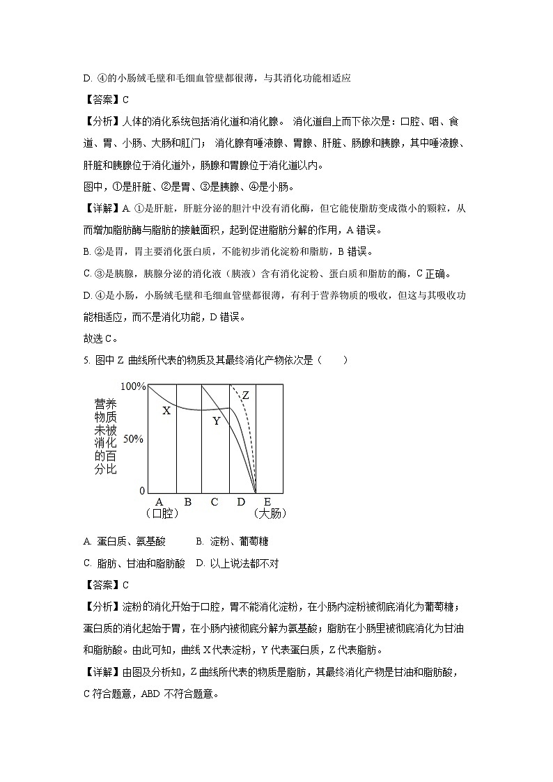 广东省湛江市廉江市2023-2024学年七年级下学期期末生物试题(解析版)第3页