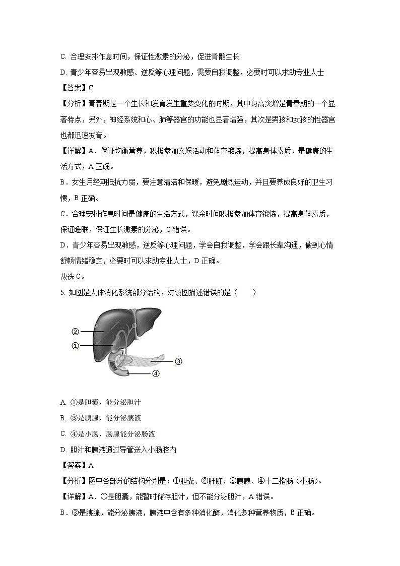 广东省江门市恩平市2023-2024学年七年级下学期期末生物试题(解析版)第3页