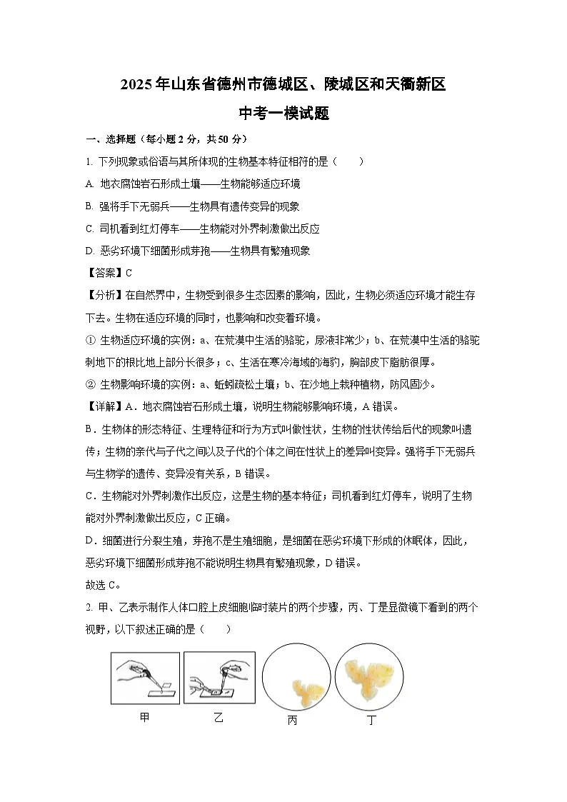 2025年山东省德州市德城区、陵城区和天衢新区中考一模生物试题(解析版)第1页