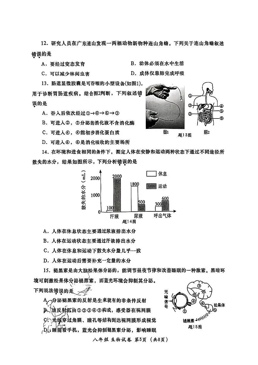 2025年广东省汕头市金平区八年级生物一模试卷(中考模拟)第3页