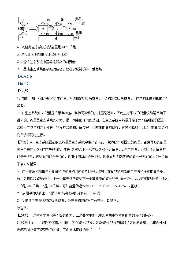 山东省泰安市新泰市2025年中考二模 生物试题(含解析)第2页