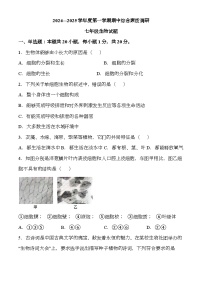 安徽省安庆市2024-2025学年七年级上学期期中 生物试题