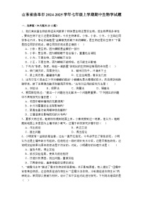 山东省曲阜市2024-2025学年七年级上学期期中 生物学试题