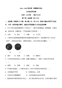 山西省大同市云州区两校联考2024-2025学年七年级上学期期中 生物学试题