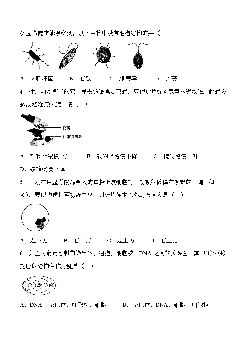 山西省大同市平城區(qū)兩校聯(lián)考2024-2025學(xué)年七年級上學(xué)期期中 生物學(xué)試題第2頁