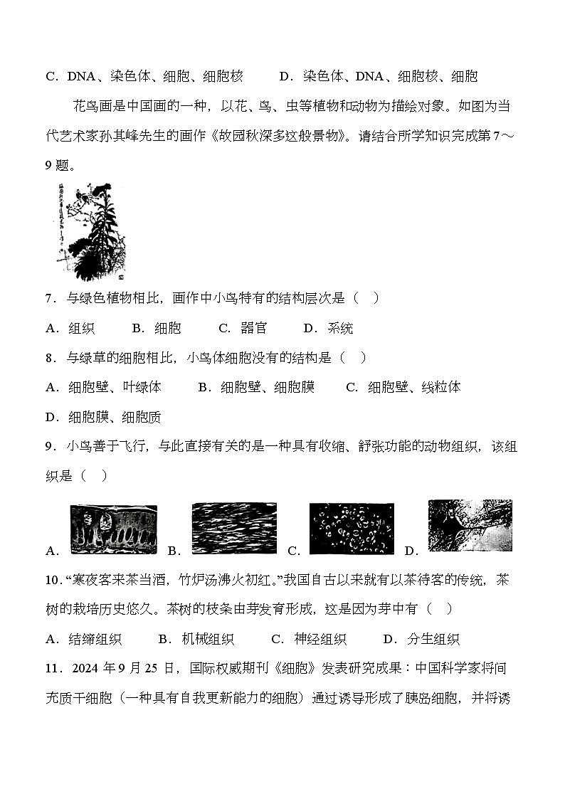 山西省大同市平城区两校联考2024-2025学年七年级上学期期中 生物学试题第3页