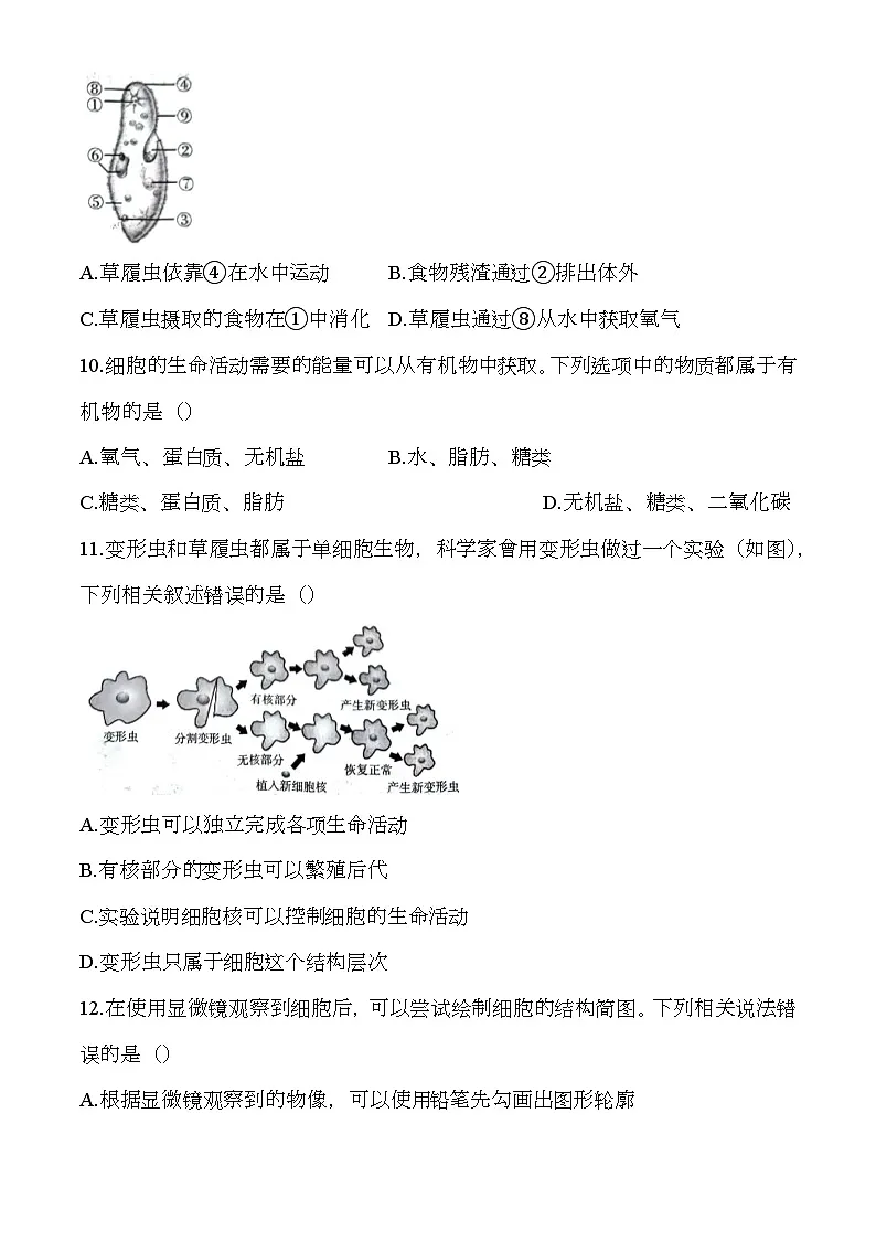 河南省安阳市安阳地区2024-2025学年七年级上学期期中 生物试题第3页