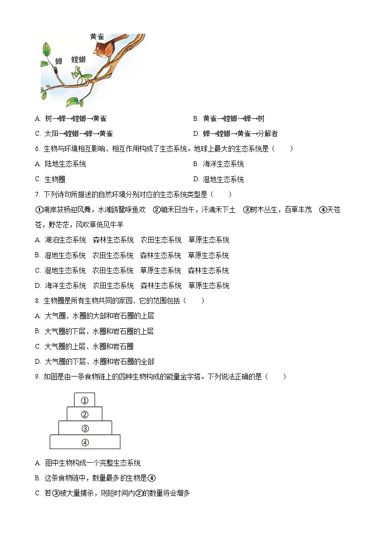 河南省洛阳市2024-2025学年七年级下学期期中 生物试题第2页
