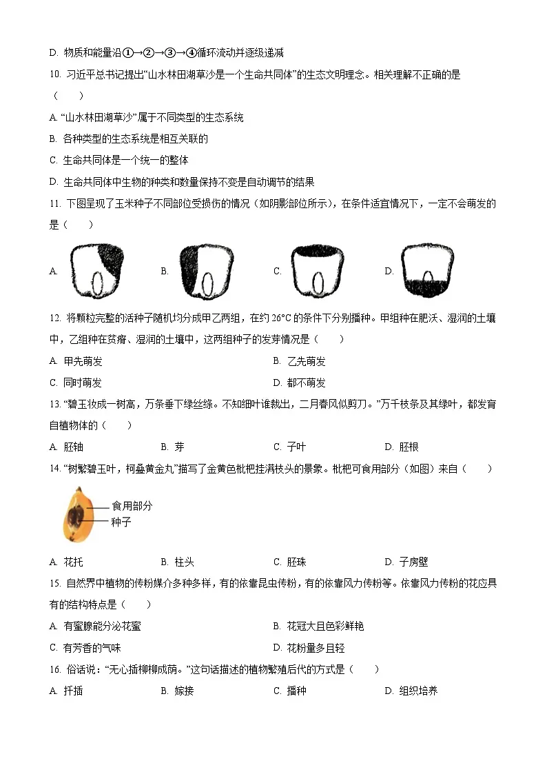 河南省洛阳市2024-2025学年七年级下学期期中 生物试题第3页