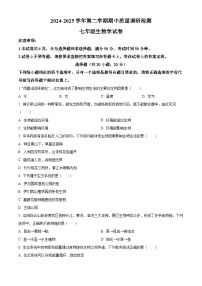 河南省洛阳市伊川县2024-2025学年七年级下学期期中 生物试题