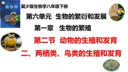 2025年春冀少版生物八年級下冊上課課件 6.1.2.2 動物的生殖和發(fā)育（二、兩棲類、鳥類的生殖和發(fā)育）