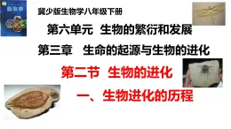 2025年春冀少版生物八年級下冊上課課件 6.3.2.1 生物的進(jìn)化（一、生物進(jìn)化的歷程）