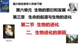 2025年春冀少版生物八年級下冊上課課件 6.3.2.2 生物的進(jìn)化（二、生物進(jìn)化的原因）
