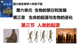 2025年春冀少版生物八年級下冊上課課件 6.3.3 人類的起源