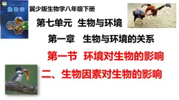 2025年春冀少版生物八年級下冊上課課件 7.1.1.2 環(huán)境對生物的影響（二、生物因素對生物的影響）