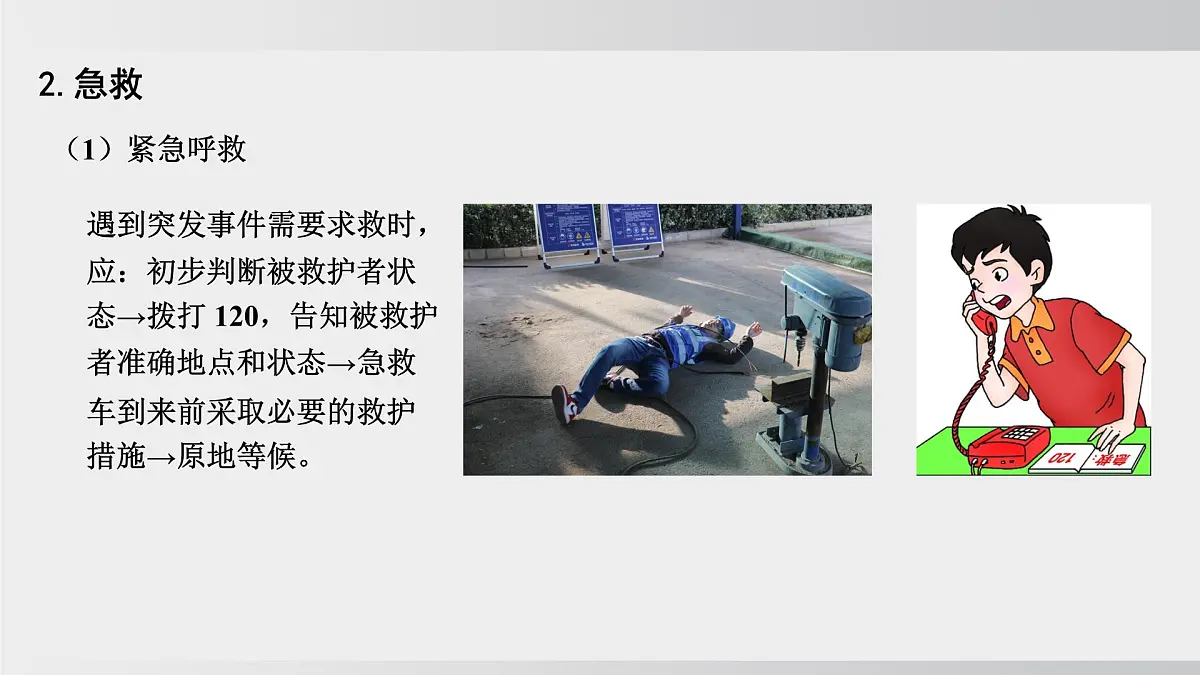 2025年春人教版生物八年级下册上课课件 第八单元第二章第三章第6页
