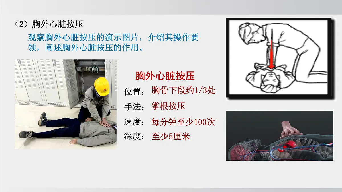 2025年春人教版生物八年级下册上课课件 第八单元第二章第三章第7页