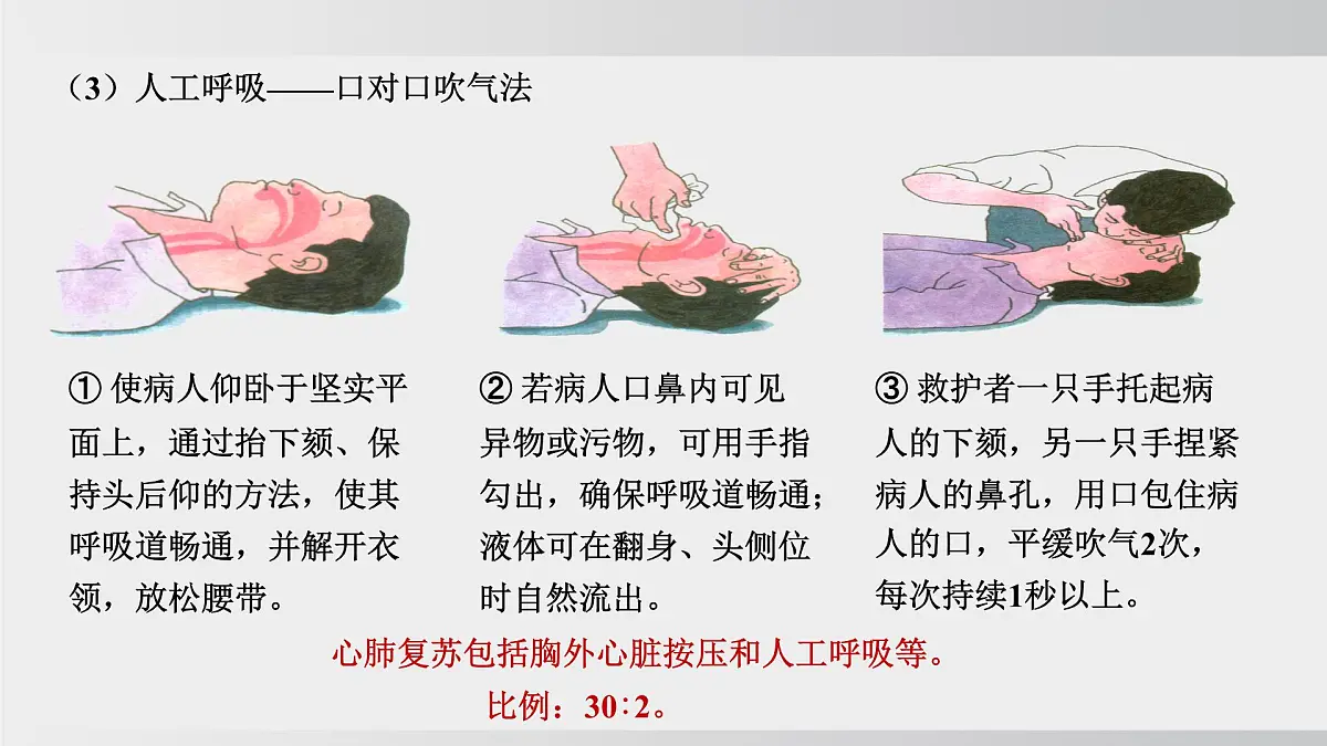 2025年春人教版生物八年级下册上课课件 第八单元第二章第三章第8页