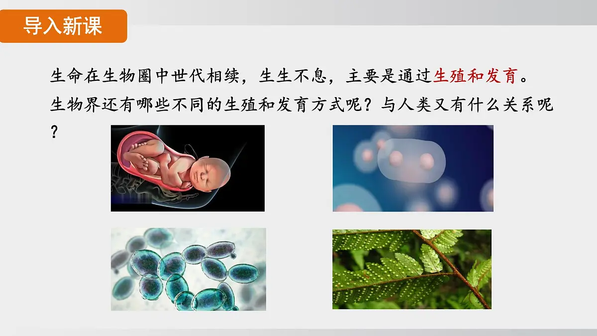 2025年春人教版生物八年级下册上课课件 第七单元第一章第一节第4页