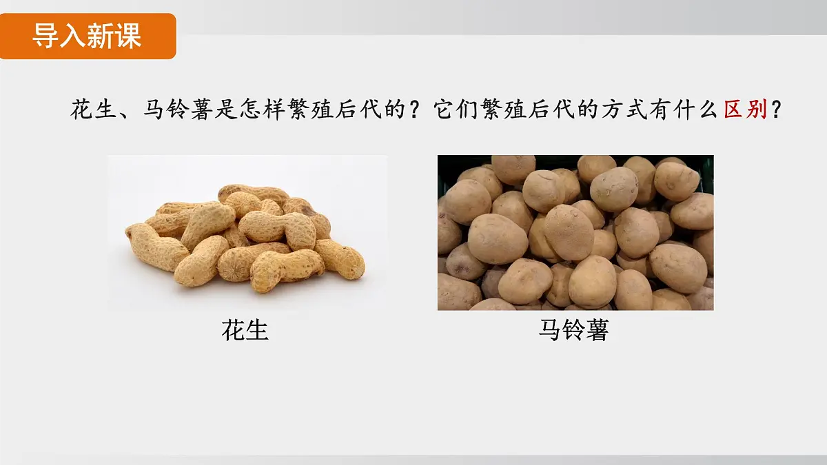 2025年春人教版生物八年级下册上课课件 第七单元第一章第一节第5页