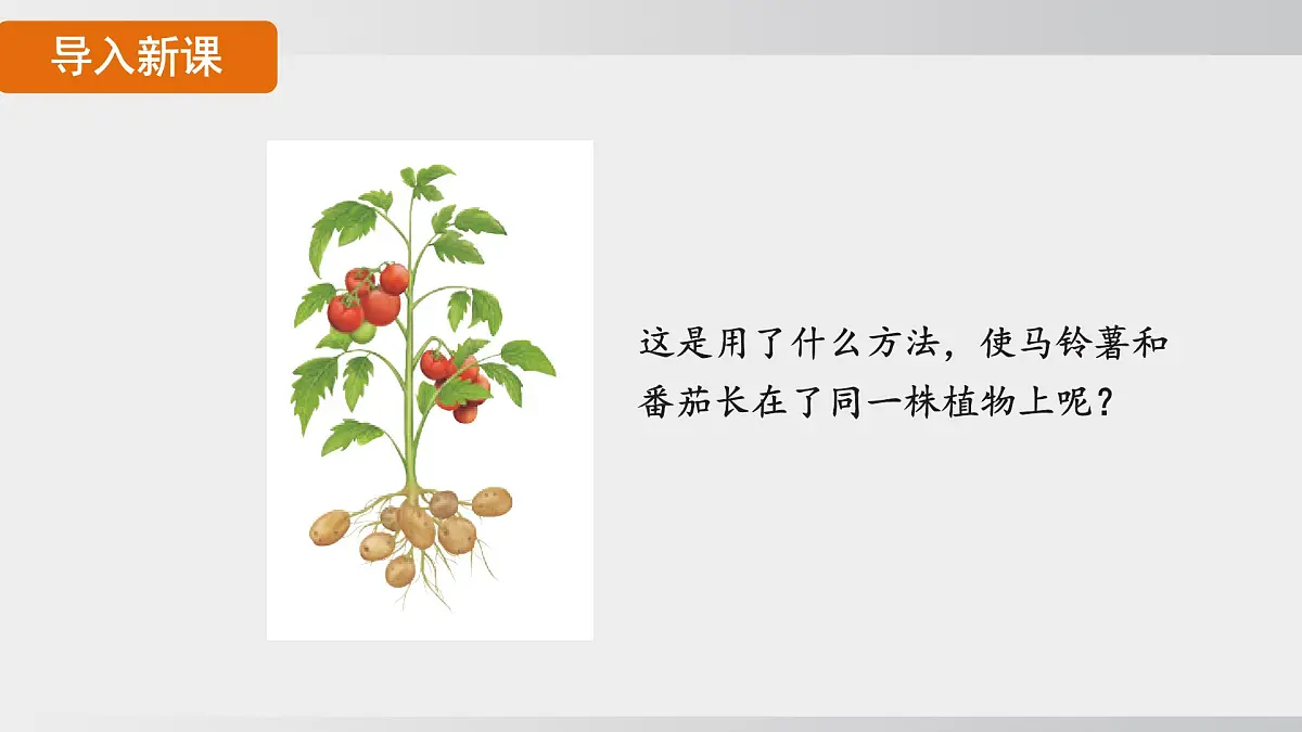 2025年春人教版生物八年级下册上课课件 第七单元第一章第一节第6页