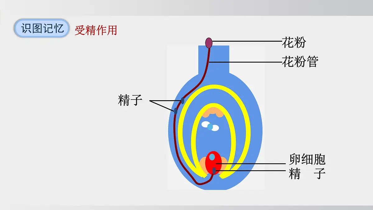 2025年春人教版生物八年级下册上课课件 第七单元第一章第一节第8页