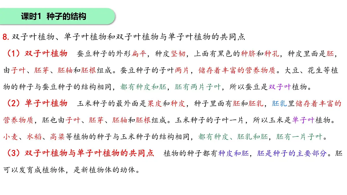 初中 生物 苏科版(2024)七年级下册5.11.1种子的萌发+5.11.2植物的生长 课件第7页