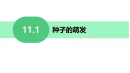 初中 生物 蘇科版（2024）七年級下冊5.11.1種子的萌發(fā) 課件