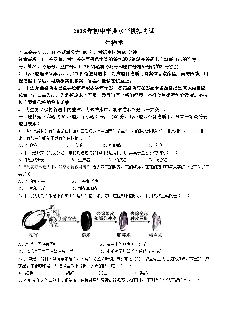 2025年广东省潮州市潮安区八年级模拟测试生物试题(中考模拟)第1页
