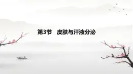 初中 生物 北師大版（2024）七年级下册4.9.3 皮肤与汗液分泌 課件