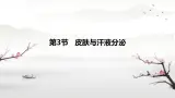 初中 生物 北師大版（2024）七年级下册4.9.3 皮肤与汗液分泌 課件