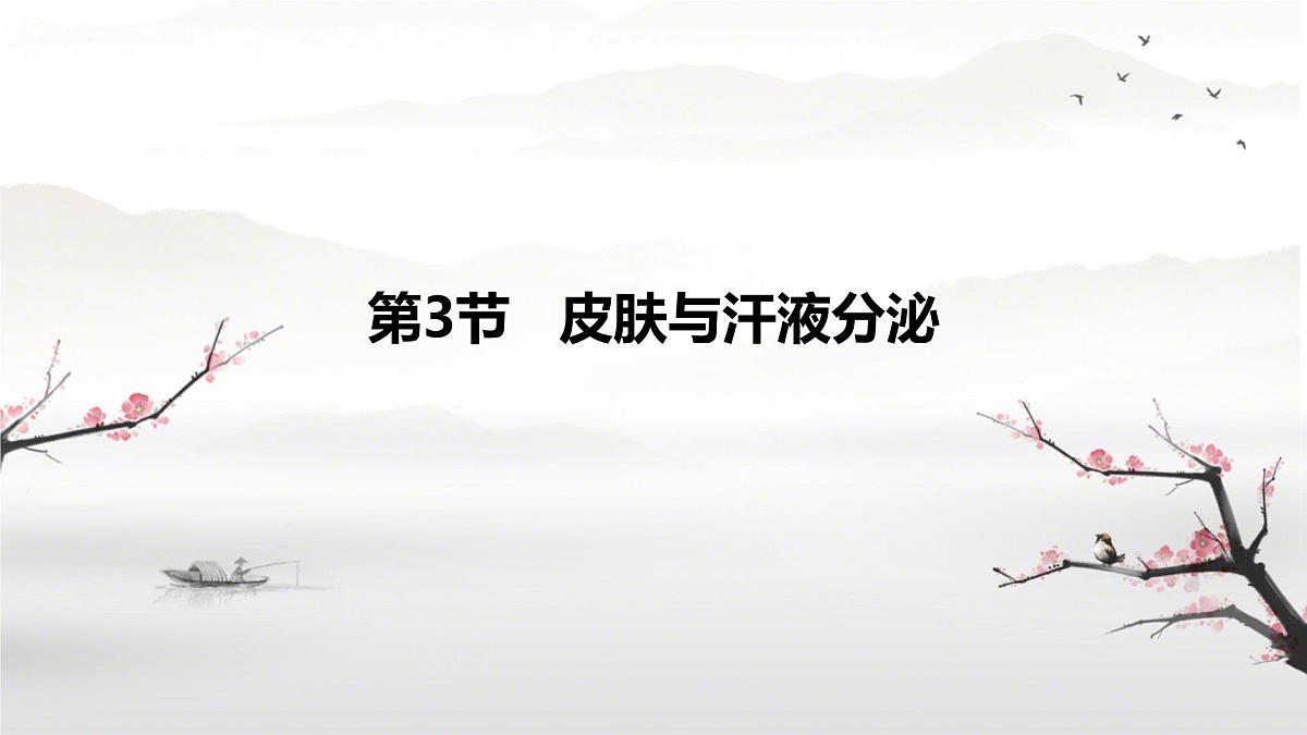 初中 生物 北师大版(2024)七年级下册4.9.3 皮肤与汗液分泌 课件第1页