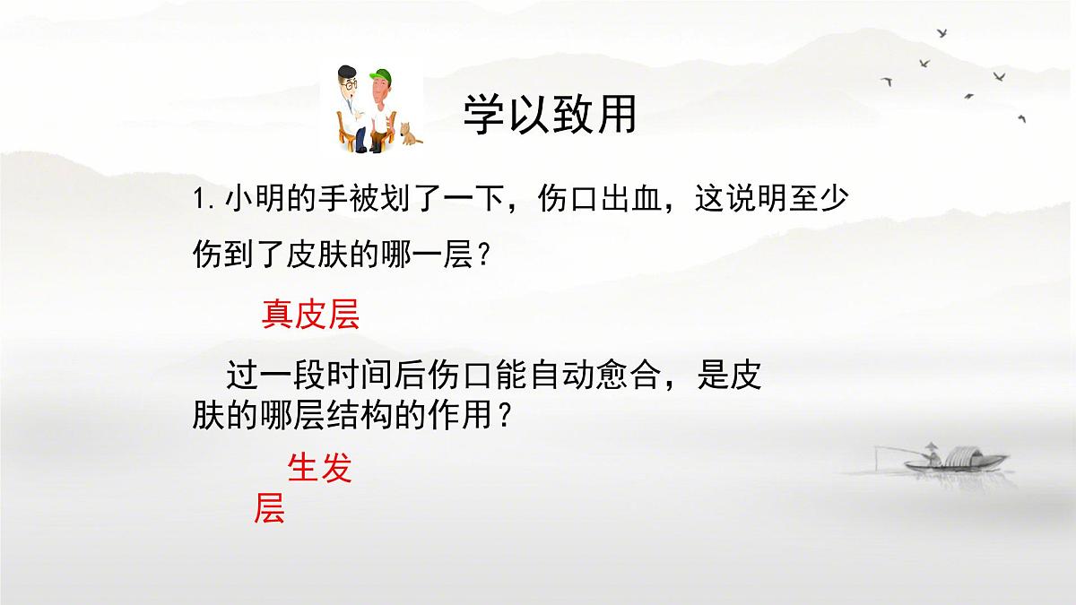 初中 生物 北师大版(2024)七年级下册4.9.3 皮肤与汗液分泌 课件第5页