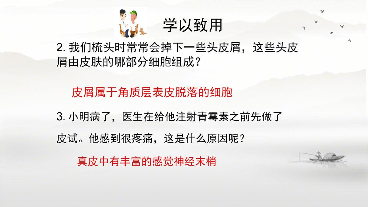 初中 生物 北师大版(2024)七年级下册4.9.3 皮肤与汗液分泌 课件第6页