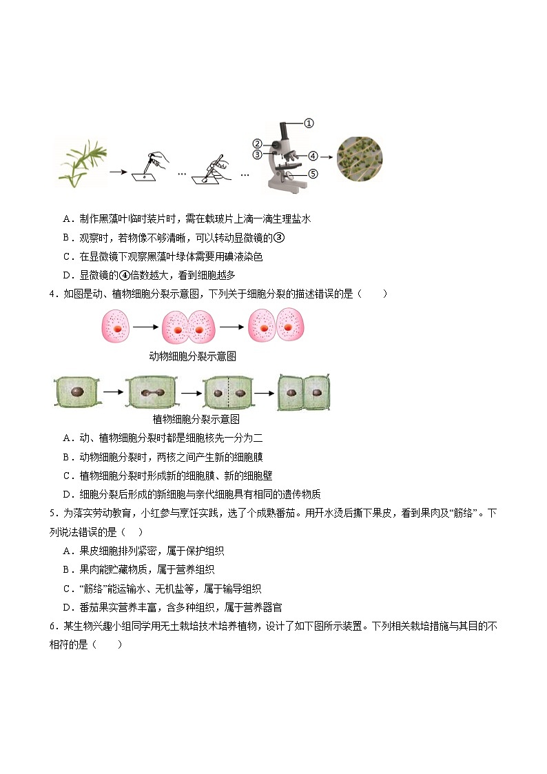 生物(深圳卷)(考试版A4)第2页