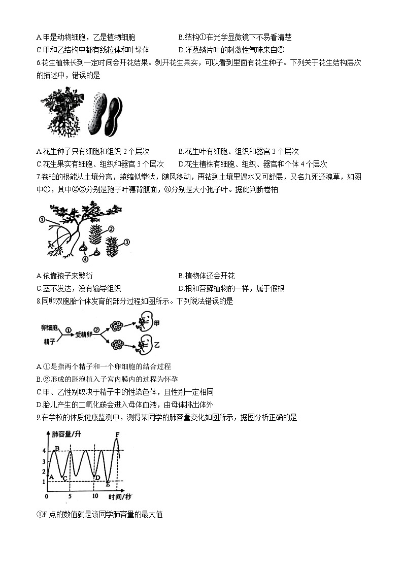 2025年湖南省娄底市冷水江市八年级二模生物试题(中考模拟)第2页