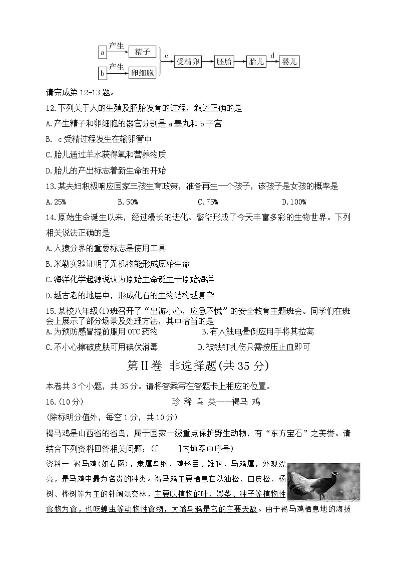2025年山西省长治市部分学校中考三模生物学试卷(中考模拟)第3页
