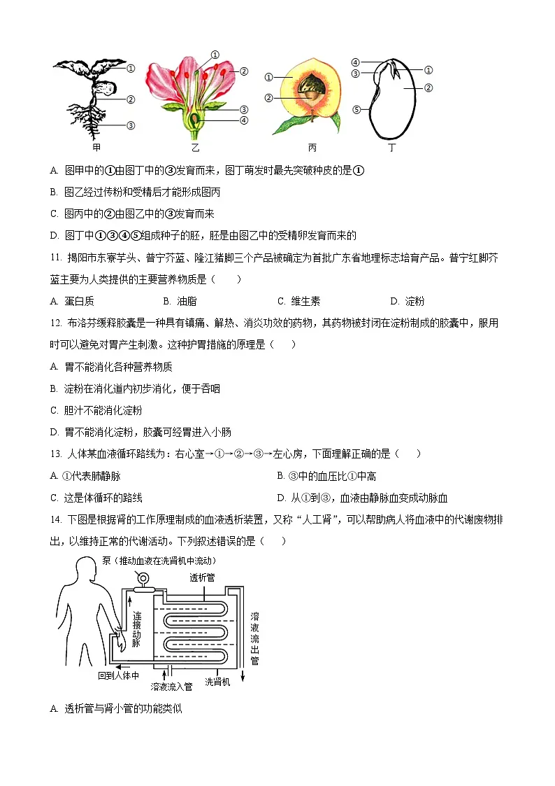2025年广东省揭阳市揭东区中考一模生物试题(原卷版)第3页