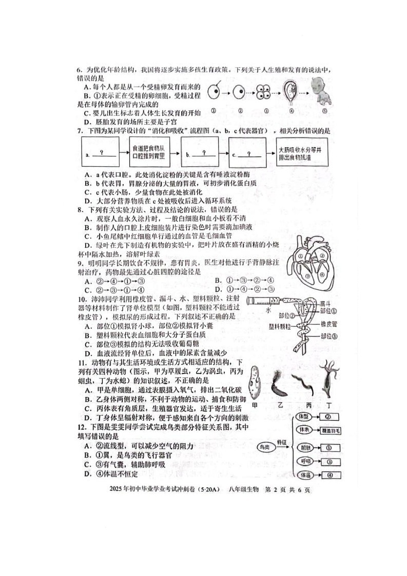 生 生第2页