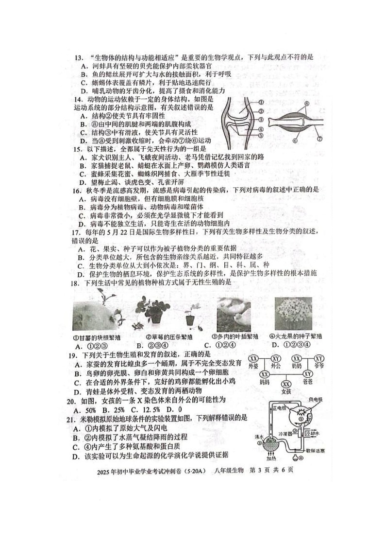 生 生第3页