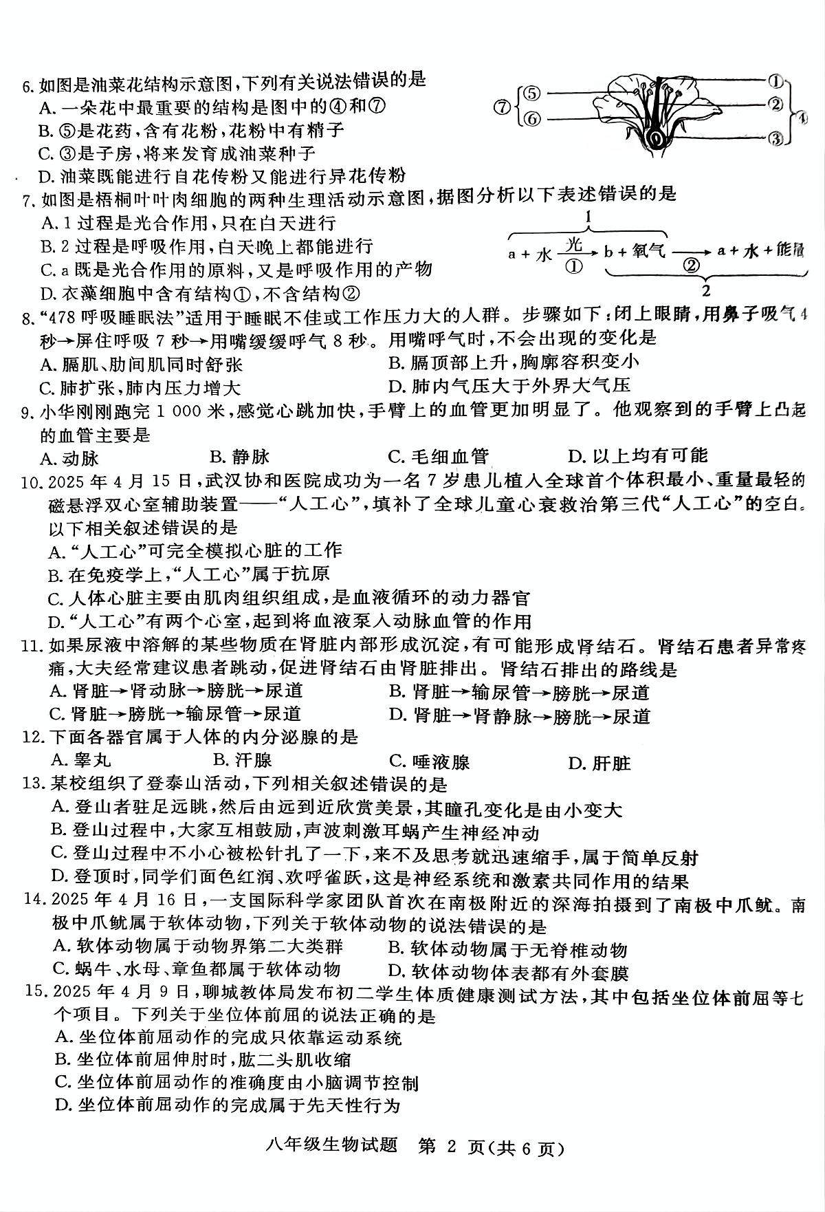 2025年山东省聊城市高唐县二模生物试题 2025年山东省聊城市高唐县二模生物试题第2页