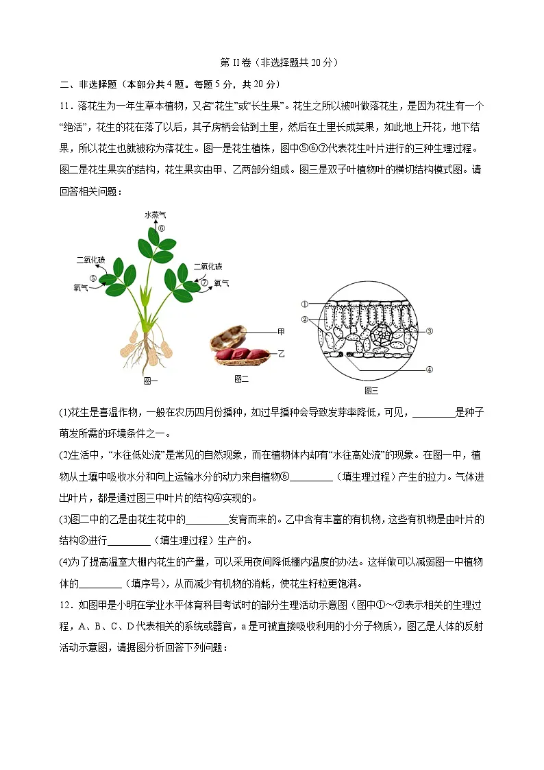 卷04-备战2025年中考生物全真模拟押题卷(徐州卷)第3页