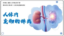 4.5人體內廢物的排出課件-2024-2025學年人教版生物七年級下冊