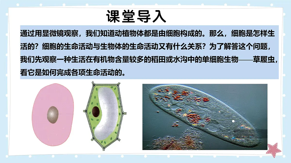 2.2.2细胞是生命活动的单位-第1课时——初中生物学北师大版(2024)七年级上册课件第3页