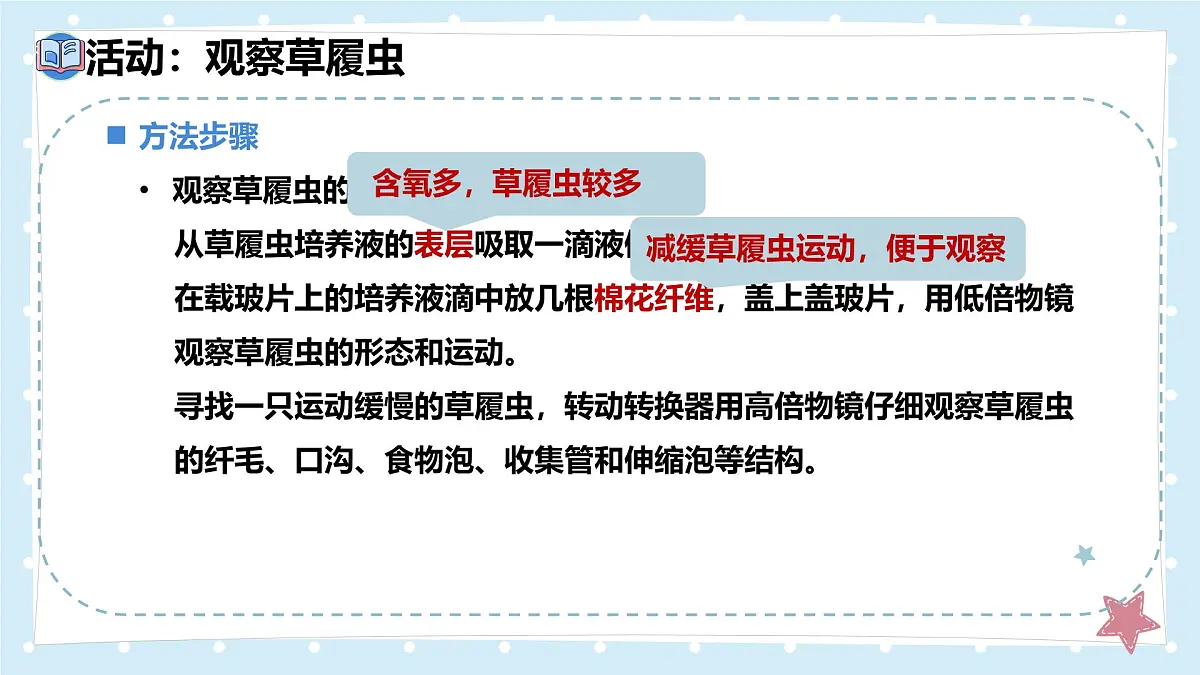 2.2.2细胞是生命活动的单位-第1课时——初中生物学北师大版(2024)七年级上册课件第5页