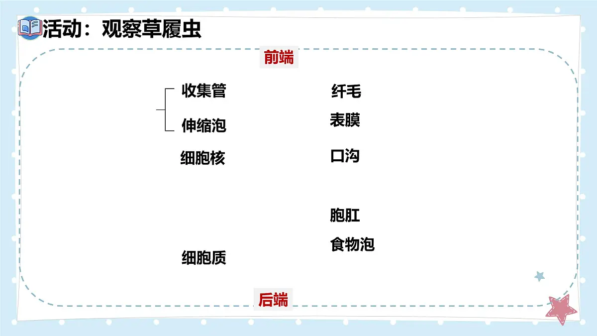 2.2.2细胞是生命活动的单位-第1课时——初中生物学北师大版(2024)七年级上册课件第6页