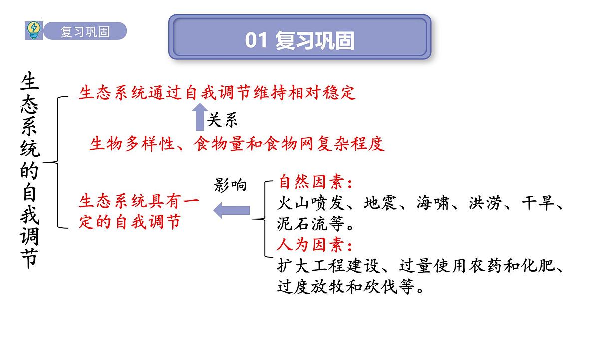 2024-2025学年苏教版初中生物七年级下册3.8.2生态安全 课件第2页
