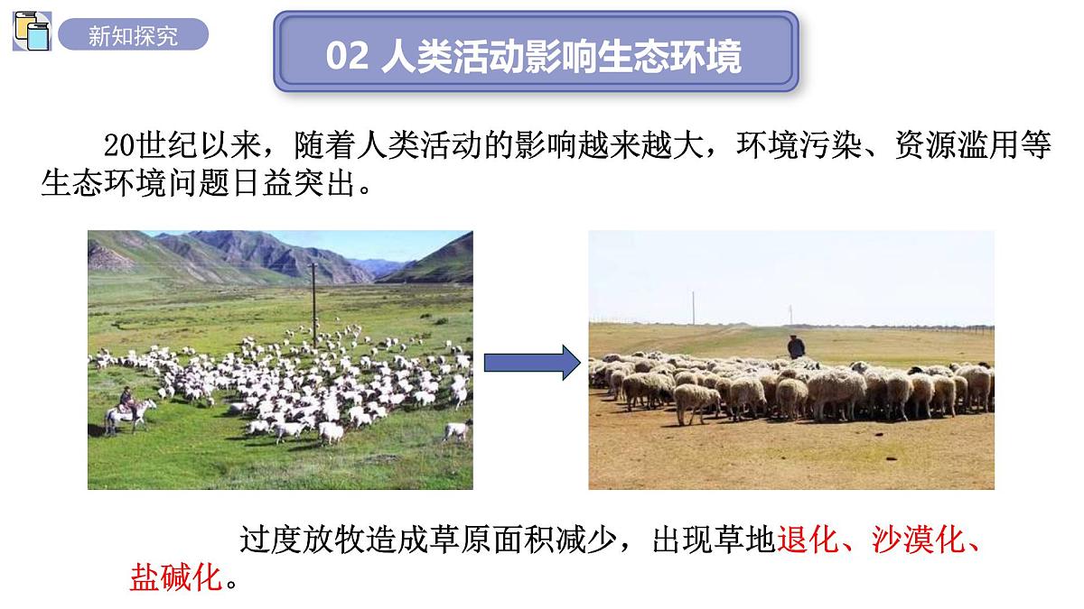2024-2025学年苏教版初中生物七年级下册3.8.2生态安全 课件第4页